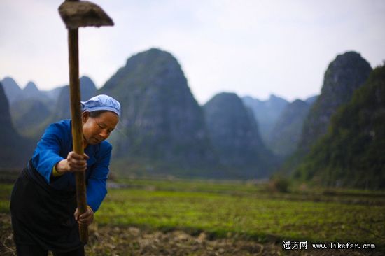 耕種好風(fēng)景 作者:佚名