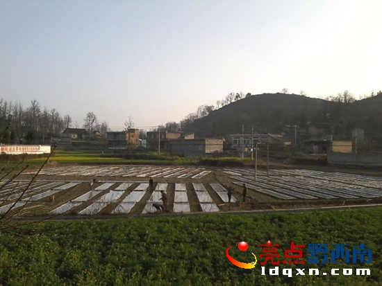 坪寨育苗點.jpg