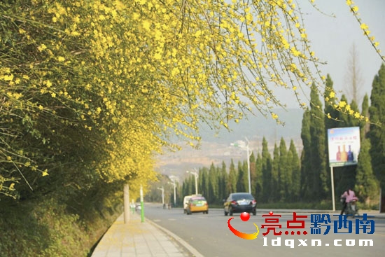 穿梭在路的車輛.jpg