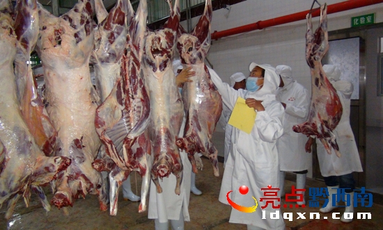 羊肉加工現(xiàn)場(盧關(guān)文 攝) (3).jpg