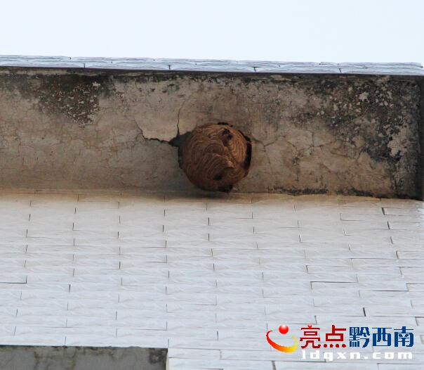 QQ截圖20150708170413.jpg