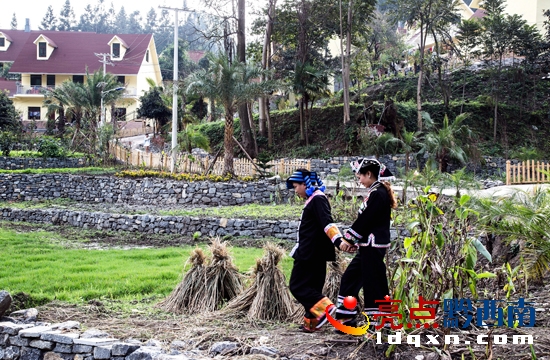 我與南網(wǎng)電工有個(gè)約會(huì)(盧關(guān)文攝 13885957702) (2).jpg