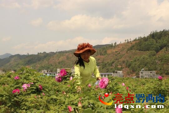 QQ截圖20170420155631.jpg