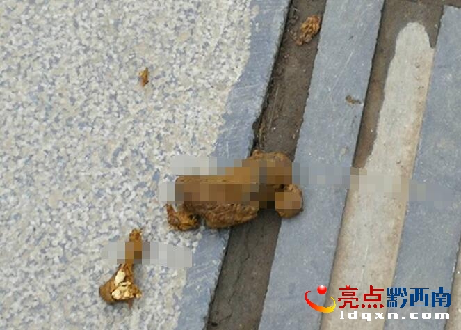 QQ截圖20171204113802.jpg